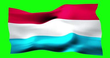 Flag of Luxembourg realistic waving on green screen. Seamless loop animation with high quality video