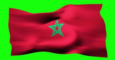 Morocco Flag Stock Video Footage for Free Download Morocco Flag Stock Video Footage for Free Download
