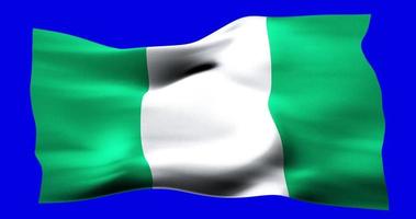 Flag of Nigeria realistic waving on blue screen. Seamless loop animation with high quality video