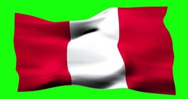 Flag of Peru realistic waving on green screen. Seamless loop animation with high quality video