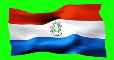 Flag of Paraguay realistic waving on green screen. Seamless loop animation with high quality video