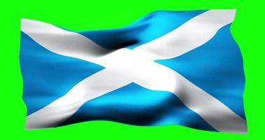 Flag of Scotland realistic waving on green screen. Seamless loop animation with high quality video