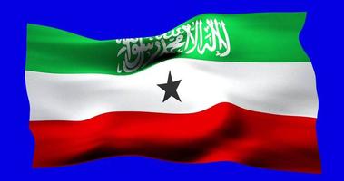 Flag of Somaliland realistic waving on blue screen. Seamless loop animation with high quality video