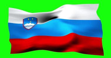 Flag of Slovenia realistic waving on green screen. Seamless loop animation with high quality video