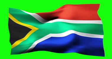 Flag of South Africa realistic waving on green screen. Seamless loop animation with high quality video