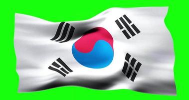 Flag of South Korea realistic waving on green screen. Seamless loop animation with high quality video
