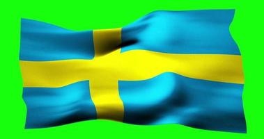 flagga av Sverige realistisk vinka på grön skärm. sömlös slinga animering med hög kvalitet video