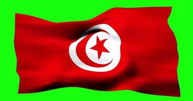 Flag of Tunisia realistic waving on green screen. Seamless loop animation with high quality video