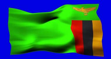 Flag of Zambia realistic waving on blue screen. Seamless loop animation with high quality video
