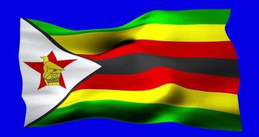 drapeau du zimbabwe agitant de manière réaliste sur écran bleu. animation en boucle parfaite de haute qualité video