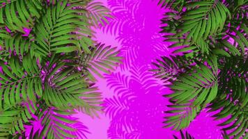 Abstract Palm Colorful Background video