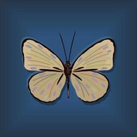Vector illustration of yellow butterfly on blue background.