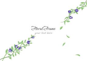 set of beautiful butterfly pea floral frame vector