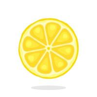 Slice of lemon vector