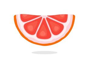 Half grapefruit slices vector