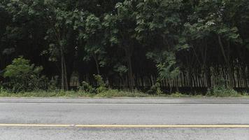 Horizontal view of asphalt road in Thailand. Background of rubber trees palntation in Thailand. photo