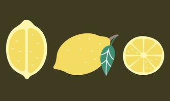 Whole and cut lemon. Citrus fruit in flat style. vector