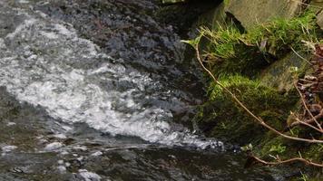 Wasserfall an einem Fluss in wilder Natur video