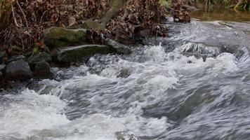 vattenfall på en flod i vild natur video