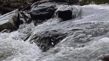 Wasserfall an einem Fluss in wilder Natur video