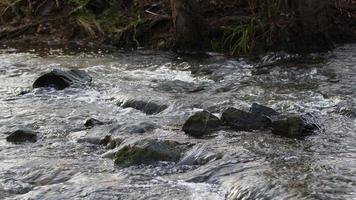 cascade sur une rivière dans la nature sauvage video