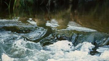 Wasserfall an einem Fluss in wilder Natur video