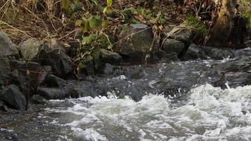 vattenfall på en flod i vild natur video