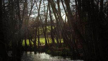 vattenfall på en flod i vild natur video