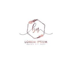 Initial BN Feminine logo beauty monogram and elegant logo design, handwriting logo of initial signature, wedding, fashion, floral and botanical with creative template vector