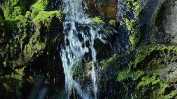 Waterfall on a River in Wild Nature video