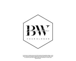 Initial BW Feminine logo beauty monogram and elegant logo design, handwriting logo of initial signature, wedding, fashion, floral and botanical with creative template vector