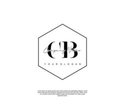 Initial CB Feminine logo beauty monogram and elegant logo design, handwriting logo of initial signature, wedding, fashion, floral and botanical with creative template vector