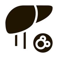 human liver icon Vector Glyph Illustration