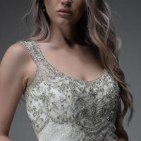 Elegant bride in a wedding dress photo