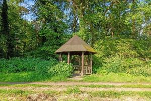 Image of a hiker's shelter in a forest path in summer photo