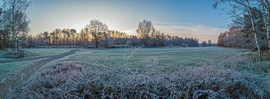 Image of winter forest covered with ice in the morning at sunrise photo