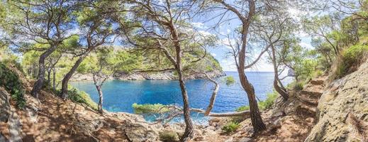 Hiking trail to Cala Murta in Mallorca photo