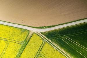 Vertical drone picture of rape field in spring in typical bright yellow color photo