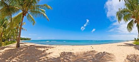 Panoramic view over the endless and deserted beach of Praia do Forte in the Brazilian province of Bahia during the day photo