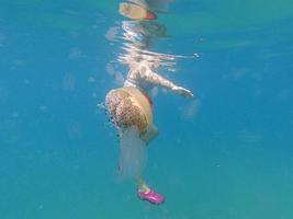 Colored ribbed jellyfish comes dangerously close to a swimmer photo