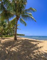 Panoramic view over the endless and deserted beach of Praia do Forte in the Brazilian province of Bahia during the day photo