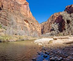 Impression from hiking trail to Pine Creek Canyon overlook in the Zion National park photo