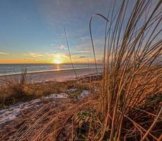 Image of a sunset over the sea taken from overgrown dunes photo