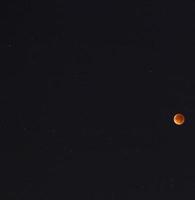 primer plano de la luna de sangre durante el eclipse lunar foto