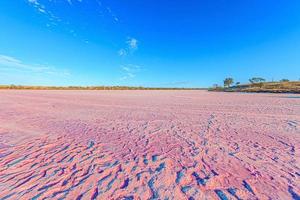 Picture of the pink surface of Lake Crosbie in South Australia's Murray-Sunset national park photo