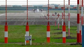 turboprop flygplan landning i Düsseldorf. europeisk hare lepus europaeus nära landningsbanan. video