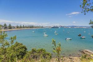 View on harbor and cruise ship terminal of Tauranga city on northern island of New Zealand in summer photo