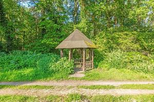 Image of a hiker's shelter in a forest path in summer photo