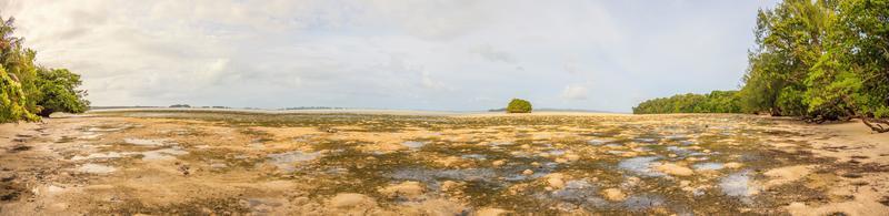 vista sobre el océano seco caído desde la isla de la carpa en palau durante el día foto