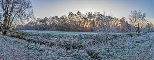 Image of winter forest covered with ice in the morning at sunrise photo